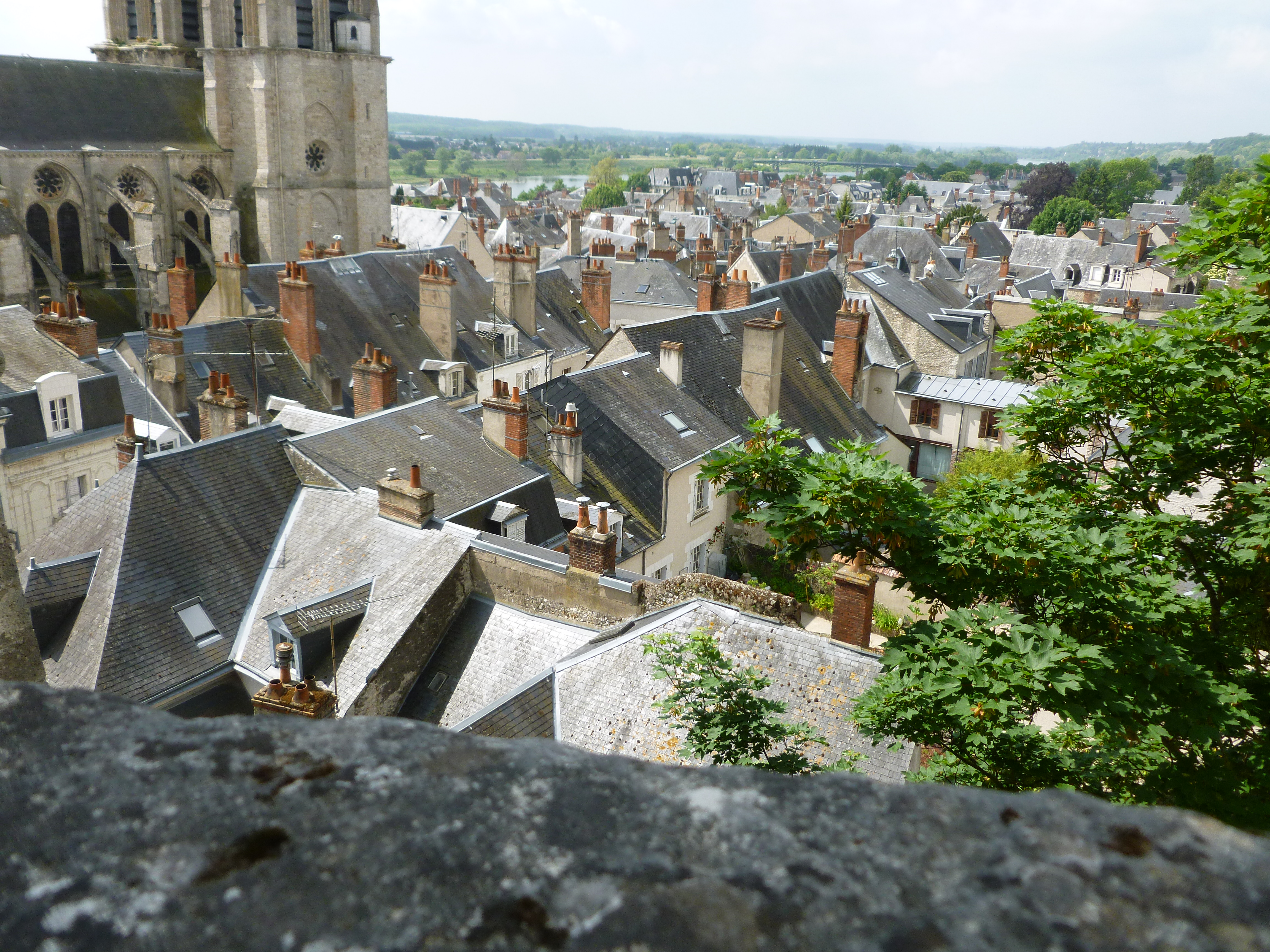 Rooftops in Blois, France.