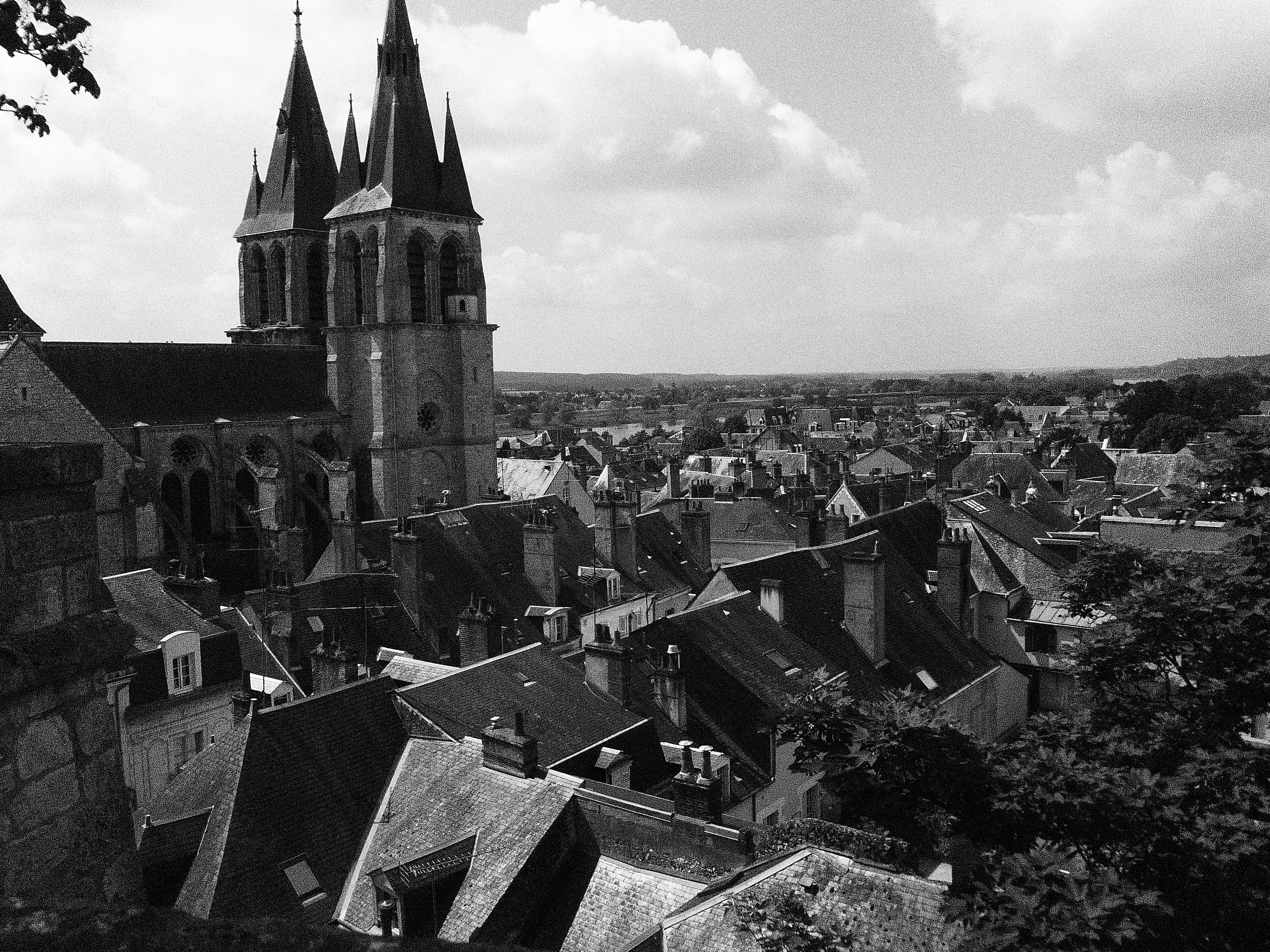 Rooftops in Blois, France (black & white).