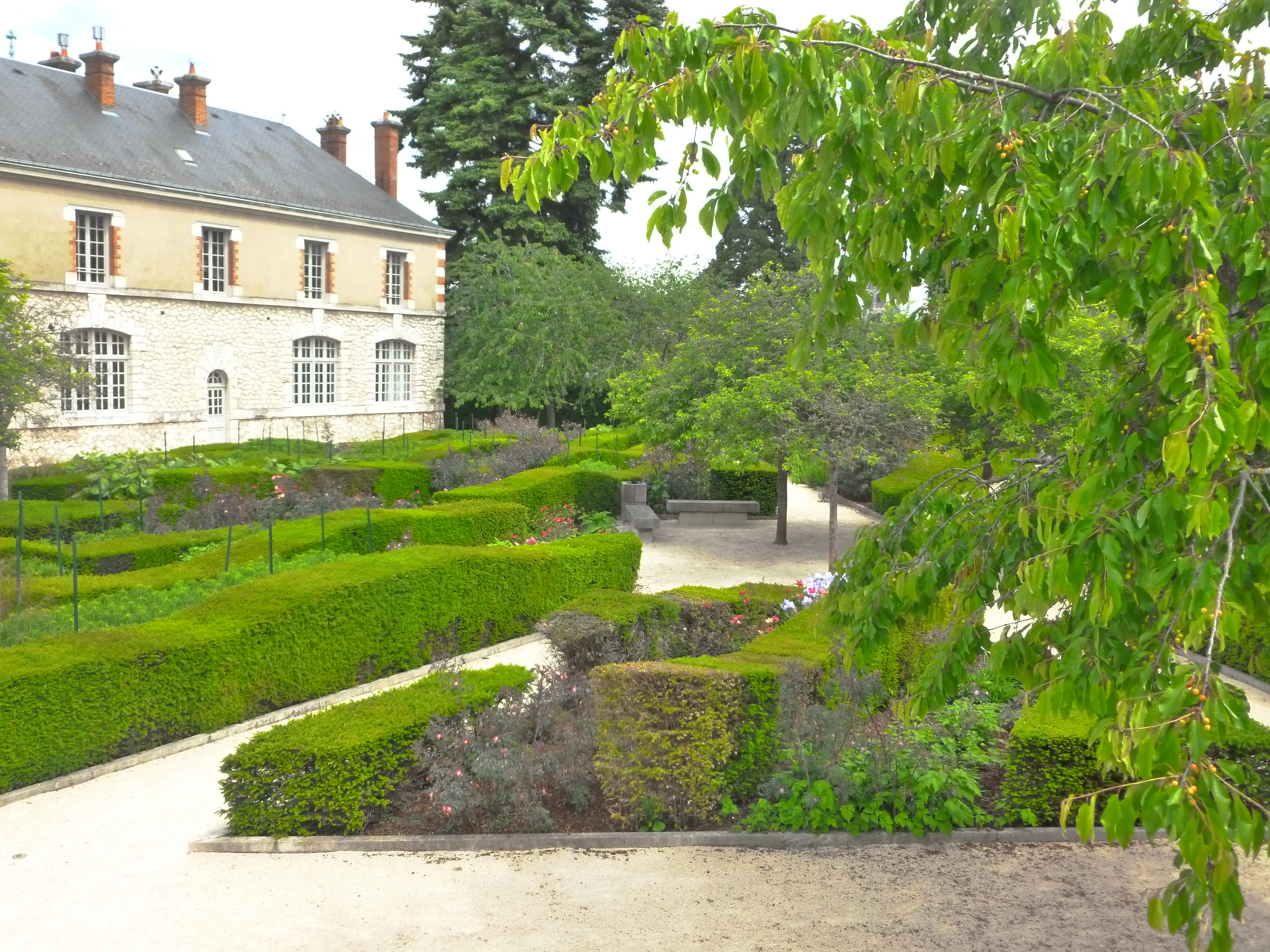 Garden in Chateau Blois.